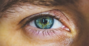 sindrome dell'occhio secco curiosità - CIOS - Centro Italiano Occhio Secco